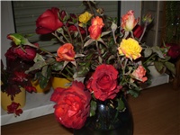 92a29d9c-Picture 5421.jpg